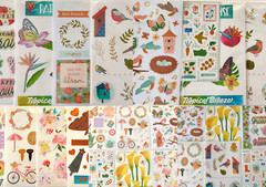 10 Sheets, nature outdoors floral flowers bloom insects camp animals wild life