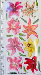 Violette Stickers Tiger Lily Floral Flowers Crafts Planner Supply Scrapbook