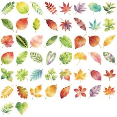50 Pcs Gold Foil Leaf Stickers PET Transparent Waterproof Decals for Journal Pho