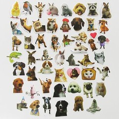 50pcs Cute Animals Sticker Bundle Schoolbooks Cards Junk Journal