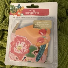 Amy Tangerine-7 Item Huge Lot-paper, Stickers, Ephemera