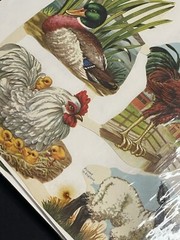 LOT OF 14 Full Sheets VTG MLP 1563 Animals Birds Die Cut Paper Scrap England