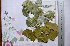 Leaves SILVER GREY & OLIVE GREEN 40Pk Paper LRG 48mmLong x 28mmWide Manor House