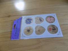 Vintage Real Pressed Flower Sticker secure stationery & envelopes stickers