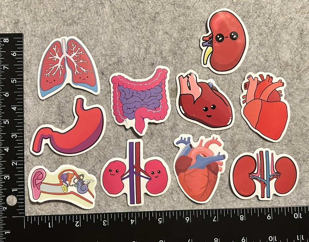 Lot of 10 Assorted Cartoon Drawing Organ Body Parts Stickers