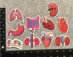 Lot of 10 Assorted Cartoon Drawing Organ Body Parts Stickers