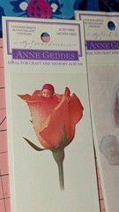Vintage Stickers Anne Geddes Baby Babies Gifted Stickers Lot Of 5 Packs