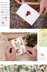6Pcs Natural Journal Stickers PET Sticker Paper Scrapbooking Material Scrapbook