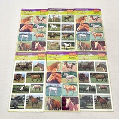 Vintage Stickety-Doo-Da Sticker Hallmark Horses Lot 6 Packs NEW