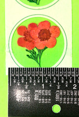 Pressed Petals Real Flowers Sticker Pack Lot Of 7