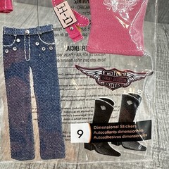 Harley-Davidson Pink Women’s Riding Outfit Dimensional Scrapbook Stickers