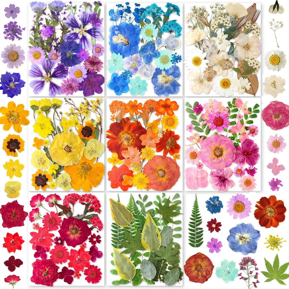 269PCS Dried Pressed Flowers for Resin Craft – YouthBro Real Nature Flowers S…