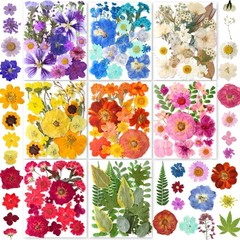 269PCS Dried Pressed Flowers for Resin Craft – YouthBro Real Nature Flowers S…