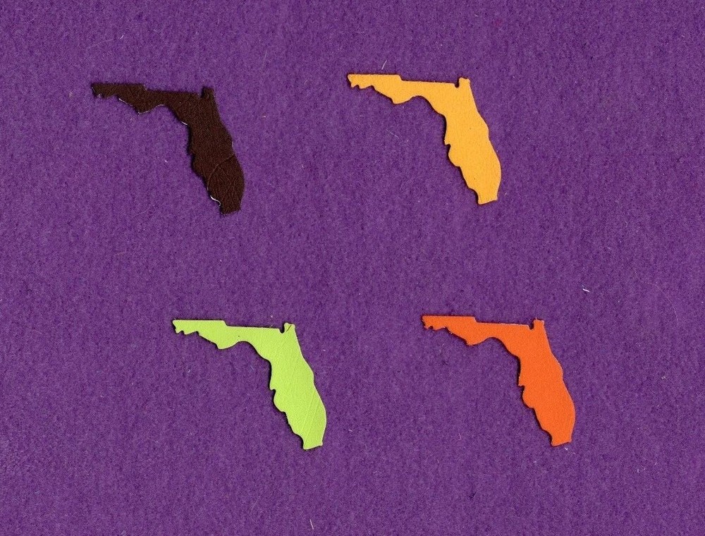 FLORIDA qk USA state die cuts scrapbook cards