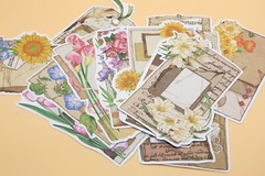 flower paper note paper | flower letter botanical themed Decorative paper set, D