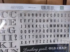 echo park paper company times & seasons 2 alpha stickers set NOS