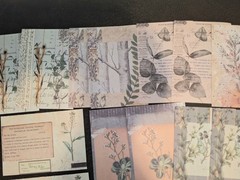 Retro Material Pack 100 Pc Scrapbooking JJ Craft Kit Supplies Plant Handwriting