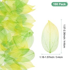 100-Pack Skeleton Leaves, Natural Rubber Leaves Vein[4-6cm, Dark Light Green]