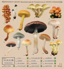 Japanese Mushrooms Stickers book 238 Stickers Shogakkan NEO Shiitake Shimeji