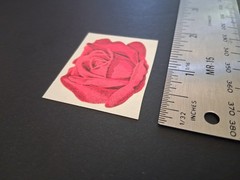 Vintage Stickers 3M Rose Scratch & Sniff Sticker Mod VTG 80s Matte Great Scent