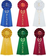 6 Pcs Award Ribbon Set 1st-6th Victory Rosette Halloween First Place Ribbon 1st,