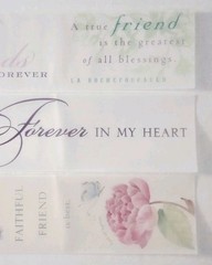 3pc Vellum Quotes 12″x2″ Non Adhesive Page Titles Embellishments Accents Lot#3