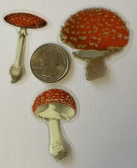 RED/WHITE MUSHROOM Mylar Stickers(6pc)Fungus•Dark•Garden •Toadstool•Spores•Grow•