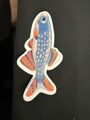 Nano Fish Stickers – Galaxy Rasbora – Chili Rasbora – White Cloud Minnow