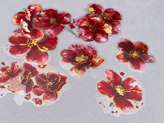 Red flower PET Stickers Pack | flower gold foil watercolor themed PET Sticker
