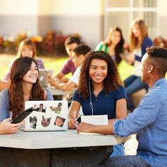 Meme 150 PCS Funny Trendy Stickers , Waterproof VinylDecals