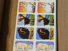 120 Polar Animal Stickers Cd-1520 Carson Dellosa Arctic Wildlife Zoo Animals