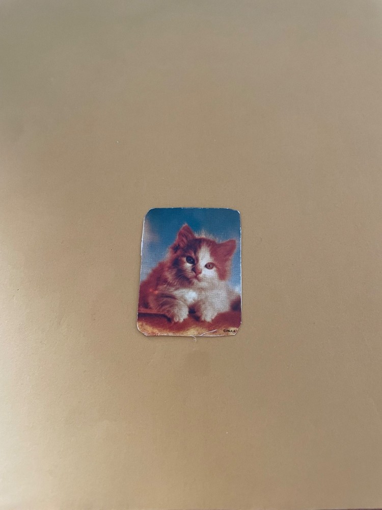 Vintage 1980s Kitten Sticker