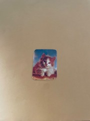 Vintage 1980s Kitten Sticker