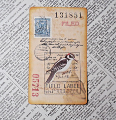 Handmade Embellishments Field Specimen Cards Junk Journal Scrapbook Altered Art