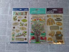 RARE Lot of 3 Jolee’s Sticko Family Tree genealogy Birds grandpa mom Dad Sis Bro
