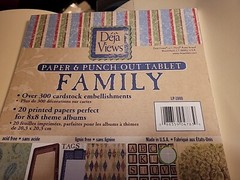 Deja Views PAPER & Punch Family 300 Cardstock Embellishments 20 Printed Pgs SB2