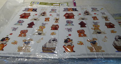 Sue Dreamer Color Book Animal Prints Stick