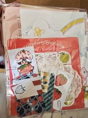 Strawberry Shortcake Scrapbooking Junk Journal Embellishment Vintage Empherma