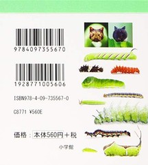 Japanese Caterpillar Stickers book 250 Stickers Shogakkan NEO