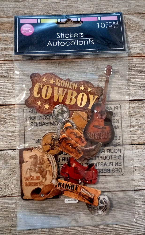 Greenbrier Rodeo Cowboy Western Wild West Dimensional Stickers New 10 Pc.