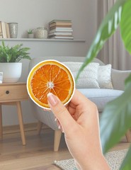 Orange Slices Die Cut Vinyl Stickers Set Scrapbooking Laptop Waterbottle