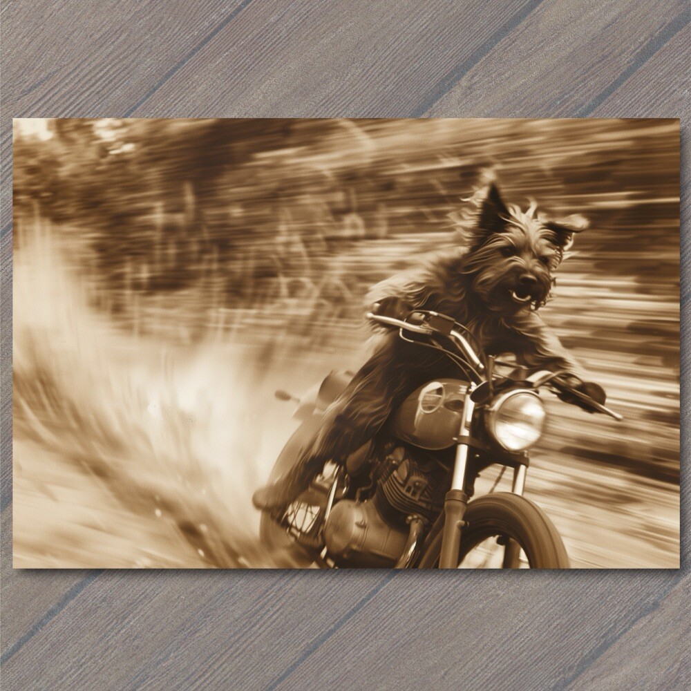 STICKER Dog People Motorcycle Weird Creepy Vintage Vibe Unreal Unusual Strange