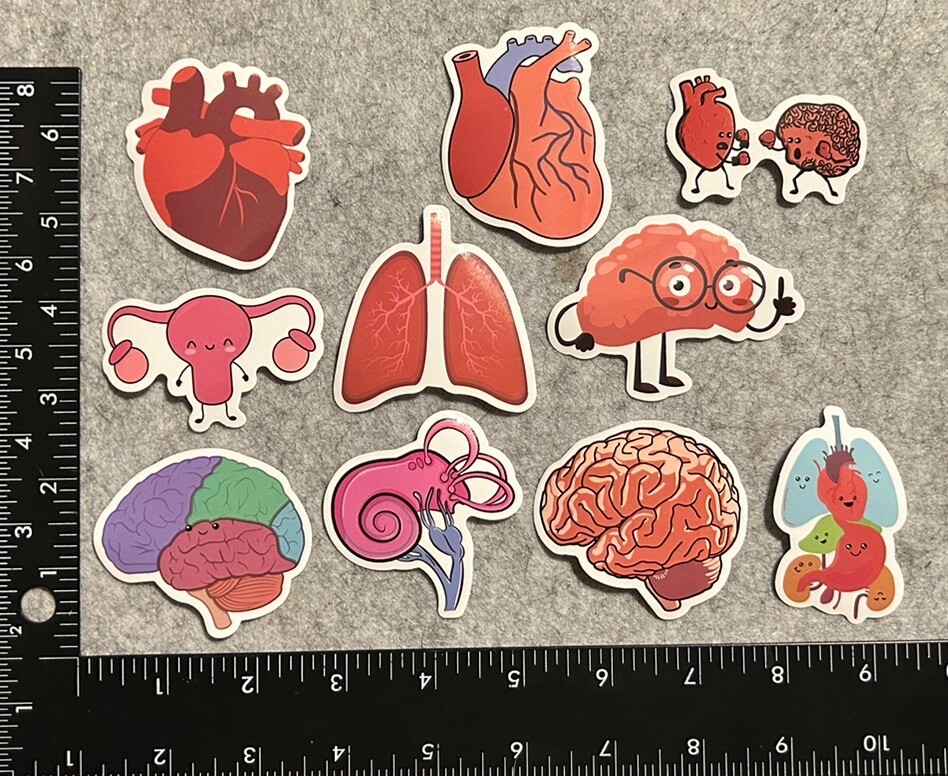 Lot of 10 Assorted Cartoon Drawing Organ Body Parts Stickers