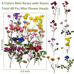 8 Types Real Dried Pressed Rose Flowers Plant Herbarium for Craft Mini