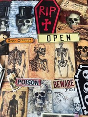 #777 SKELETON 100+PCS 3D JUNK JOURNAL SCRAPBOOKING w/ Real Ephemera & Bone Pen