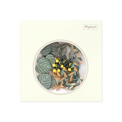 MIDORI sticker PCM Decoration leaf stalk 82522006