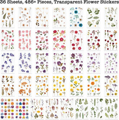 Pressed Flower Themed Stickers (Assorted 486 Pieces, 36 Sheets) Dried Floral Res