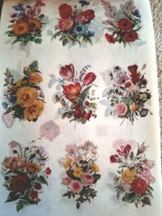 50 Pgs Detailed Beautiful Floral Sticker Book & Eph Paper 22pgs & 375 Stickers