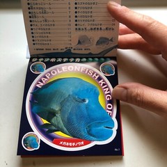 FISH Japanese Stickers book 274 stickers Shogakkan NEO Book Series