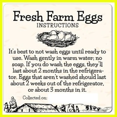 200pcs- Fresh Farm Eggs Handling Care Instructions Accessories Stickers Labe…